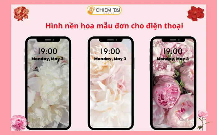 199+ Hình nền hoa mẫu đơn FULL HD 4K thu hút chất lượng tải miễn phí 199+ Hình nền hoa mẫu đơn FULL HD 4K thu hút chất lượng tải miễn phí