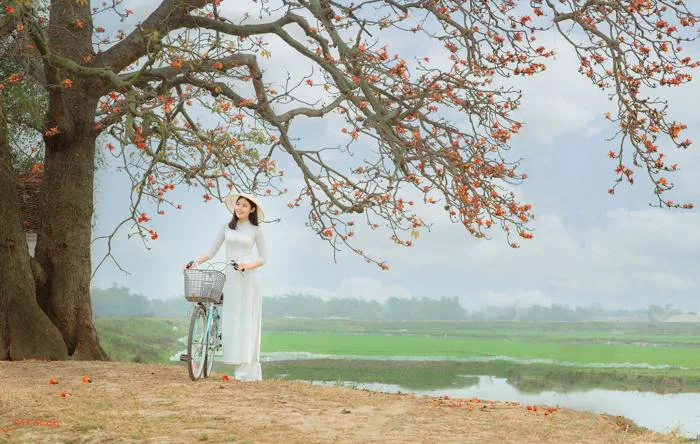 Dịch vụ chụp ảnh hoa gạo
