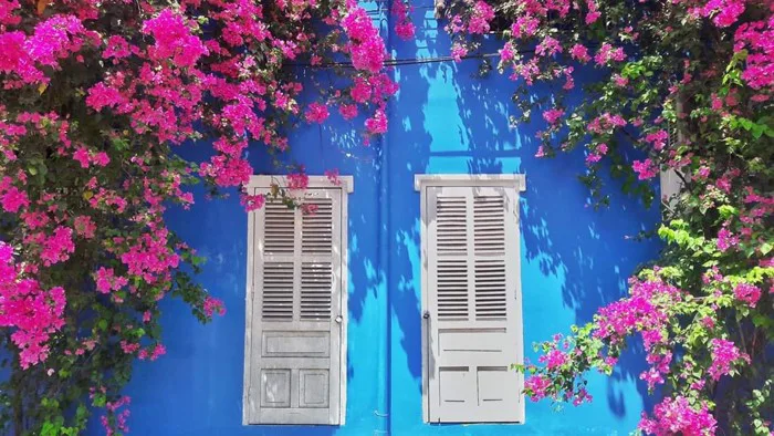 Xuất hiện ngôi trường với giàn hoa giấy khổng lồ nhuộm hồng cả góc trời,  sống ảo cứ gọi là mê li trở lên!