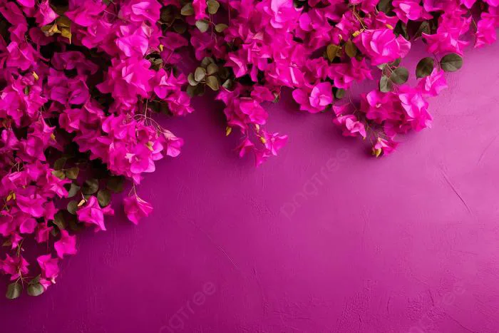 Nền Hoa Giấy Màu đỏ Tươi Ảnh Và Hình ảnh Để Tải Về Miễn Phí - Pngtree