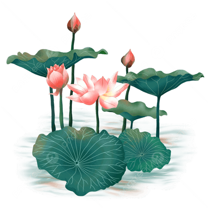 Hoa Gif Hình ảnh PNG | Vector Và Các Tập Tin PSD | Tải Về Miễn Phí Trên  Pngtree