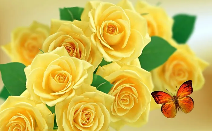 Hoa Hồng Vàng Thiên Nhiên - Ảnh miễn phí trên Pixabay