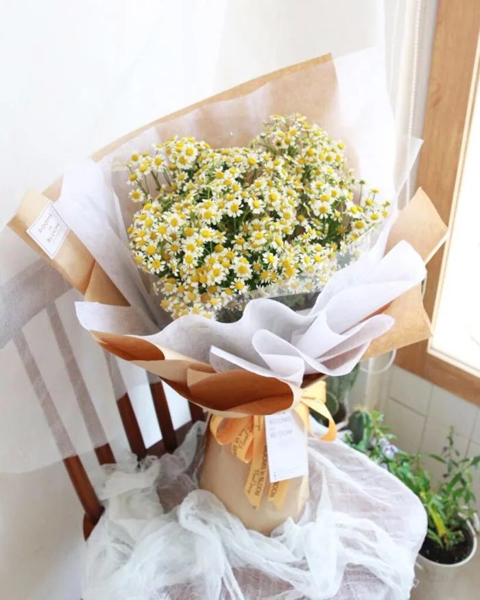 TOP 5 loại hoa hy vọng cực kì ý nghĩa trong cuộc sống