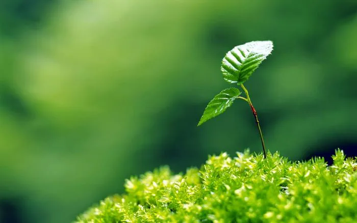 Những hình ảnh đẹp nhất về hy vọng