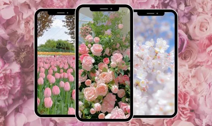 hinh-nen-hoa-iphone-11-1