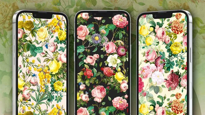 Hình nền hoa đẹp cho iPhone, giúp cho điện thoại của bạn hấp dẫn hơn