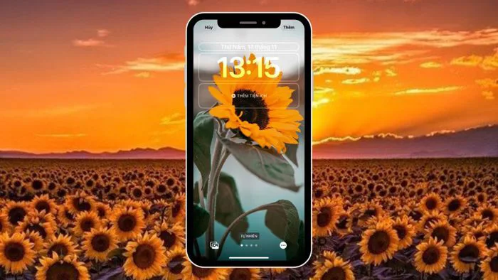 Hình nền hoa hướng dương cho iPhone đẹp, các bạn không thể bỏ lỡ