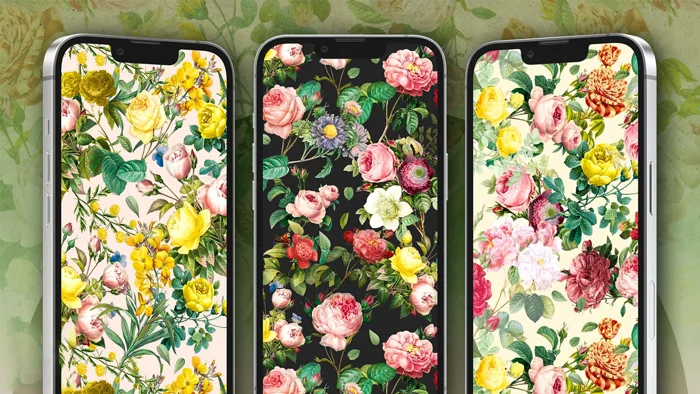 Hình nền hoa đẹp cho iPhone, giúp cho điện thoại của bạn hấp dẫn hơn