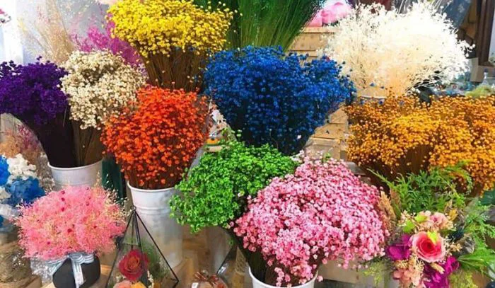 20+ mẫu hoa khô đẹp, bắt mắt, được nhiều người ưa thích