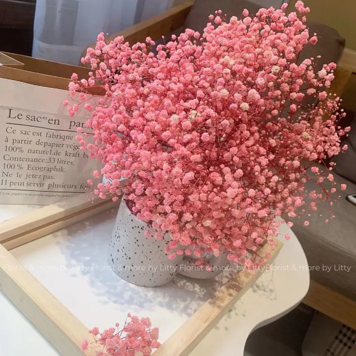 Bó lớn 120gr) Hoa baby khô ❤️ HOA KHÔ LITTY ❤️ Hoa khô trang trí để bàn  trang trí phòng ngủ decor phòng khách bó hoa phụ kiện chụp ảnh quà sinh