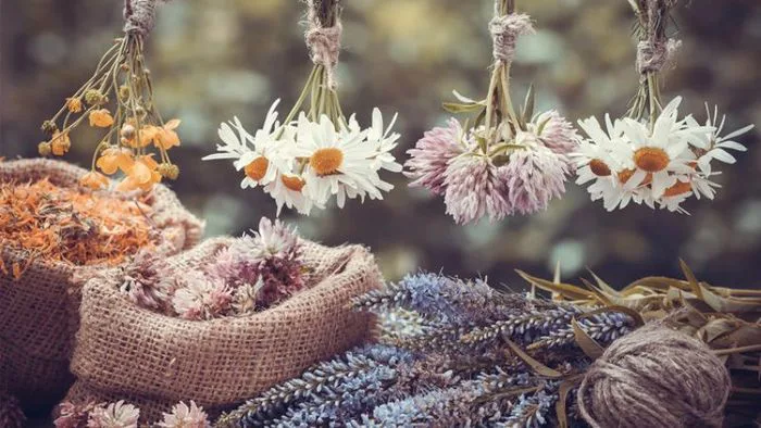 20+ mẫu hoa khô đẹp, thu hút, được nhiều người ưa chuộng