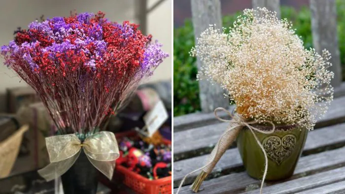 20+ mẫu hoa khô đẹp, bắt mắt, được nhiều người ưa thích