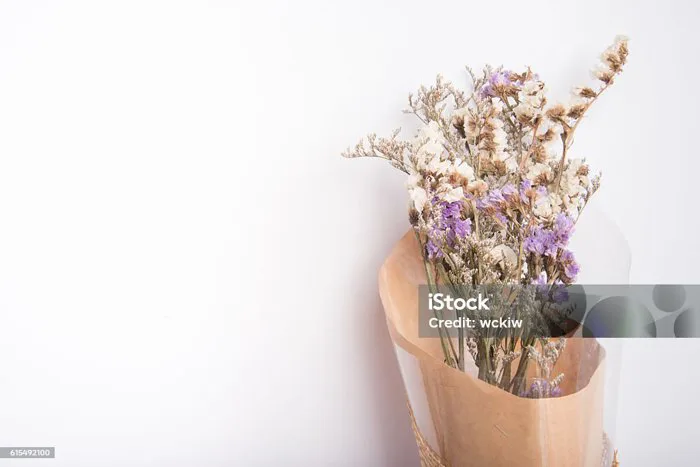 Bó Hoa Khô Trên Nền Trắng Phong Cách Màu Vintage Hình ảnh Sẵn có - Tải  xuống Hình ảnh Ngay bây giờ - Bó hoa, Composition, Dây thừng - iStock