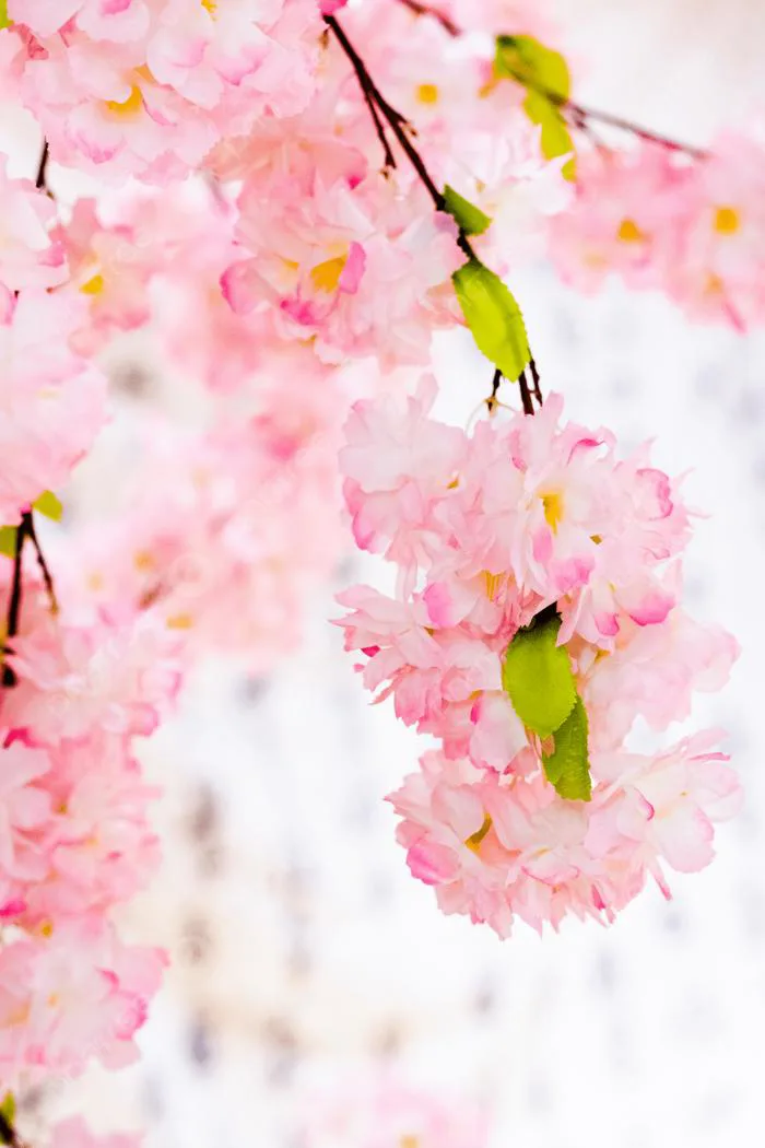 Nền Hoa Lầu Hoa Hồng Hoa Lầu Hình Nền Cho Tải Về Miễn Phí - Pngtree