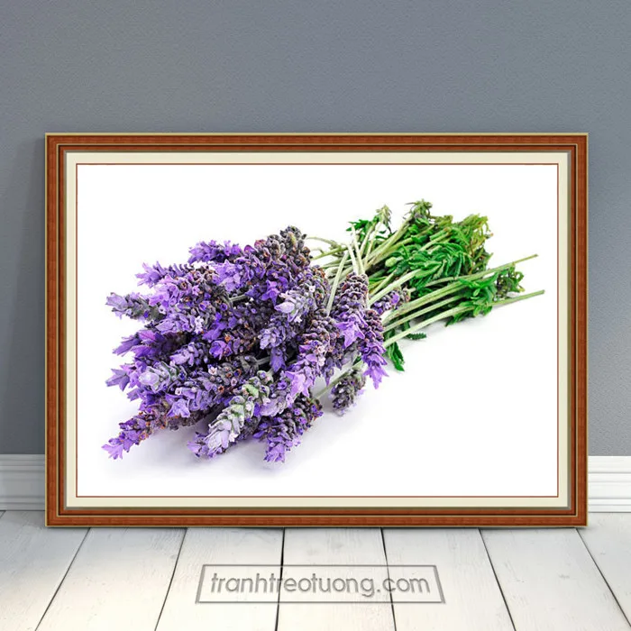 Mẫu tranh bó hoa lavender tím trên nền trắng HOH691