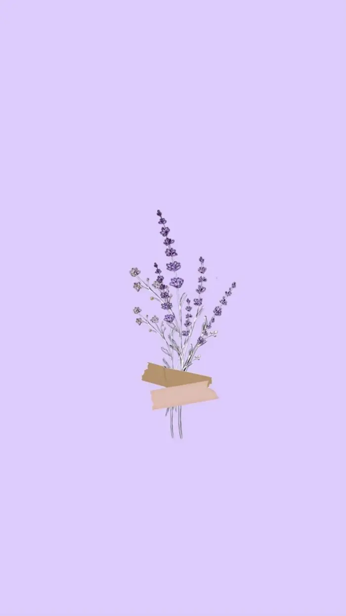 Tổng hợp bộ sưu tập hình nền hoa lavender đẹp mộng mơ cho bạn Tổng hợp bộ sưu tập hình nền hoa lavender đẹp mộng mơ cho bạn