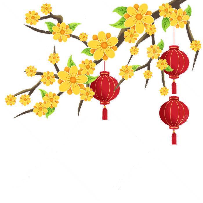 Hoa Mai Hình ảnh PNG | Vector Và Các Tập Tin PSD | Tải Về Miễn Phí Trên  Pngtree