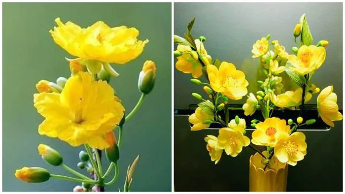 Top 50+ hình ảnh hoa mai Tết Nguyên Đán đẹp và ấn tượng nhất