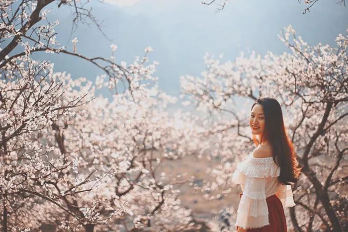 Địa điểm ngắm hoa mận Tây Bắc đẹp mà bạn nên lưu ngay