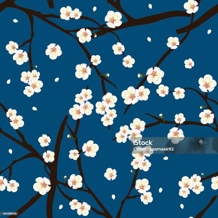 Hoa Mận Trắng Trên Nền Xanh Chàm Minh Họa Vector Hình minh họa Sẵn có - Tải  xuống Hình ảnh Ngay bây giờ - Hoa mận, Anh đào, Châu Á - iStock