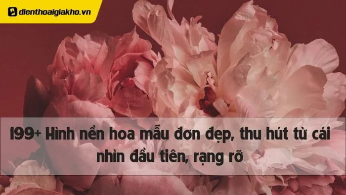 199+ Hình nền hoa mẫu đơn đẹp, thu hút từ cái nhìn đầu tiên, rạng rỡ