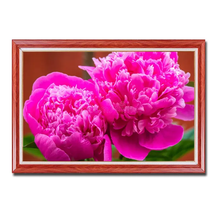 Tranh hoa mẫu đơn 2 bông màu đỏ đẹp Amia62828