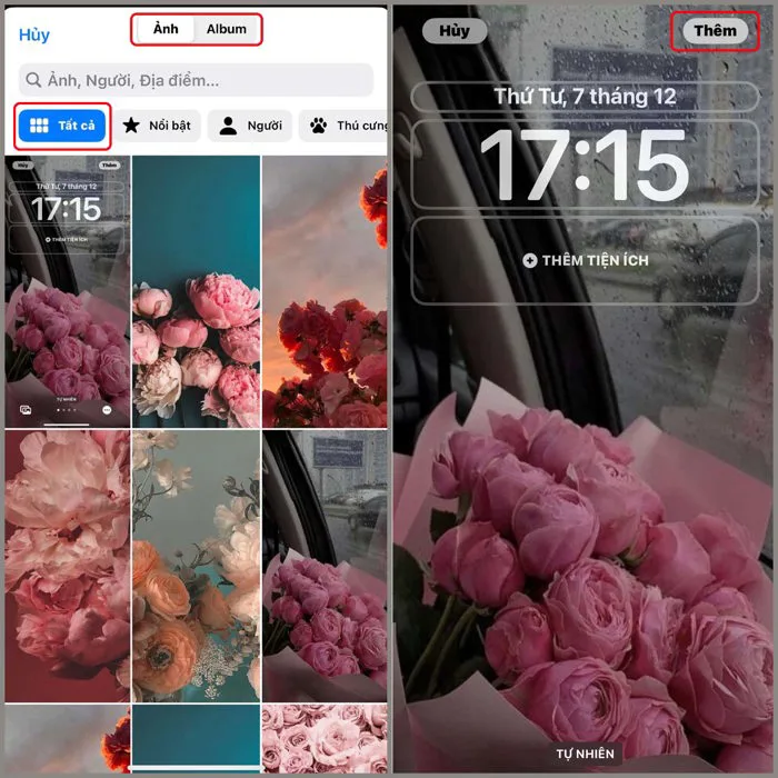 Hình nền hoa mẫu đơn (Peony) cho iPhone vô cùng đẹp mắt dành cho bạn