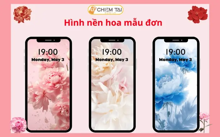 Rực Rỡ Sắc Hồng: Bộ Sưu Tập Hình Nền Hoa Mẫu Đơn Tuyệt Đẹp