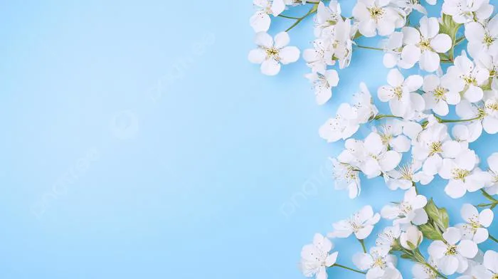 Hình ảnh Nền Hoa Màu Xanh Tinh Tế, Hoa Màu Xanh Tinh Tế Vector Nền Và Tập  Tin Tải về Miễn Phí | Pngtree