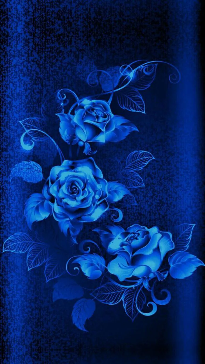 Blue Roses with Leaves on Black Background | Blue roses wallpaper, Blaue  rosen, Blue flower wallpaper