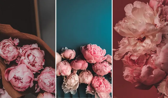 Tải ngay bộ hình nền hoa mẫu đơn tuyệt đẹp, biết đâu may mắn thoát 'ế'