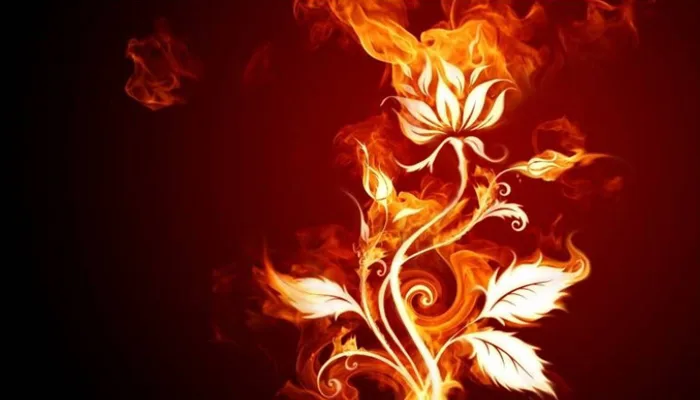 699+ Hình nền may mắn cho mệnh Hỏa ý nghĩa, thu hút TÀI LỘC