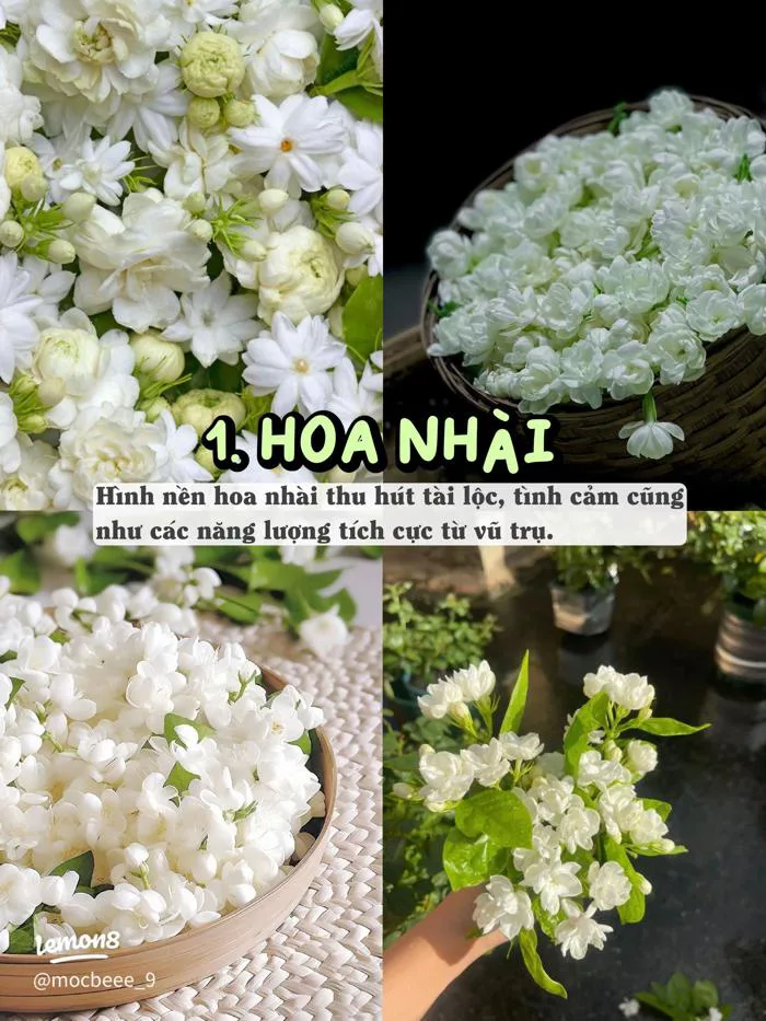 Hình nền điện thoại thu hút may mắn tài lộc: gợi ý đẹp, dễ áp dụng