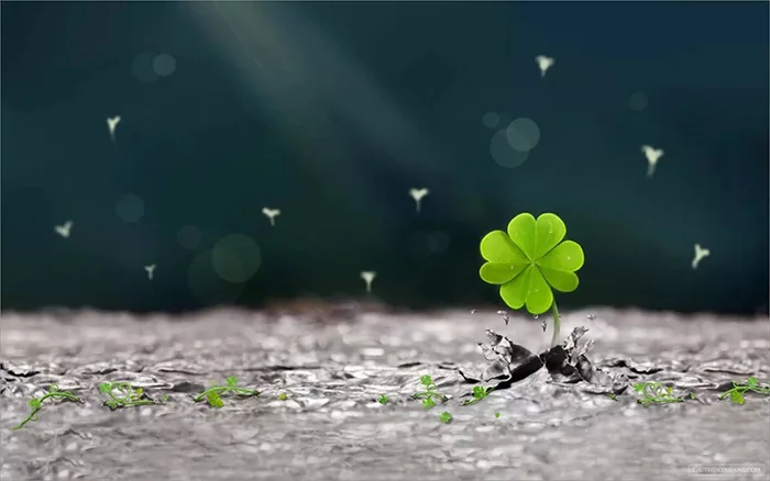 Hình nền may mắn cho mệnh Hỏa, ý nghĩa cầu may, phát tài lộc