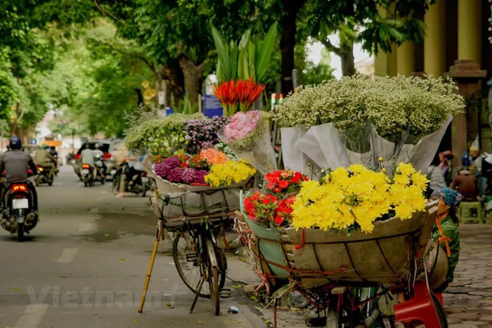 Top những loài hoa đẹp nhất Mùa Thu 2022 - Mayflower Top những loài hoa đẹp nhất Mùa Thu 2022 - Mayflower