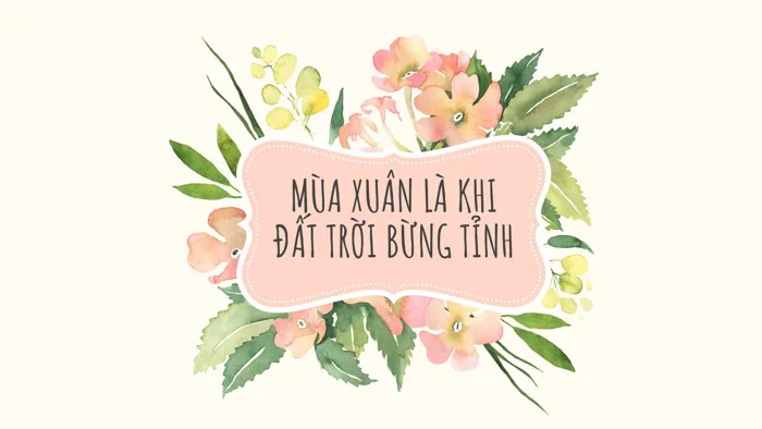 Mẫu hình nền mùa xuân cho máy tính, chỉnh sửa dễ dàng | Canva