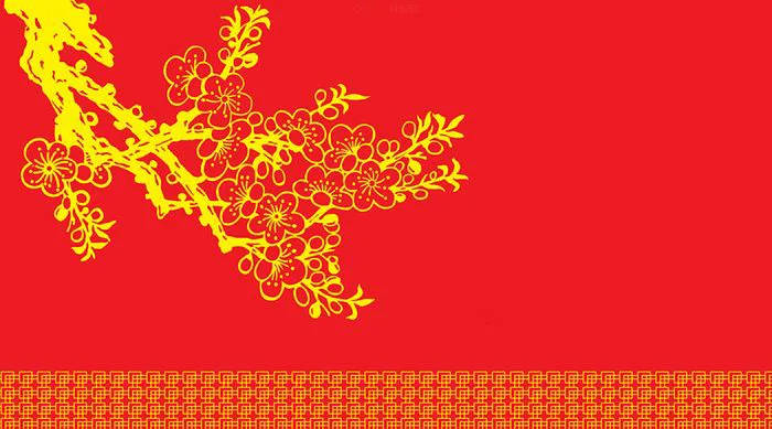 Nền Hoa Mai Tuyệt Đẹp