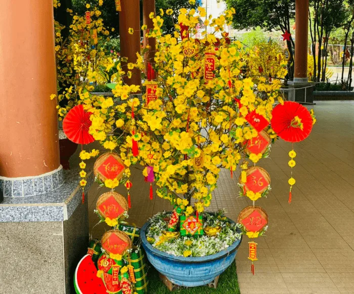 HOT 99 hình ảnh hoa mai rực rỡ chào xuân Ất Tỵ 2025 | Yody