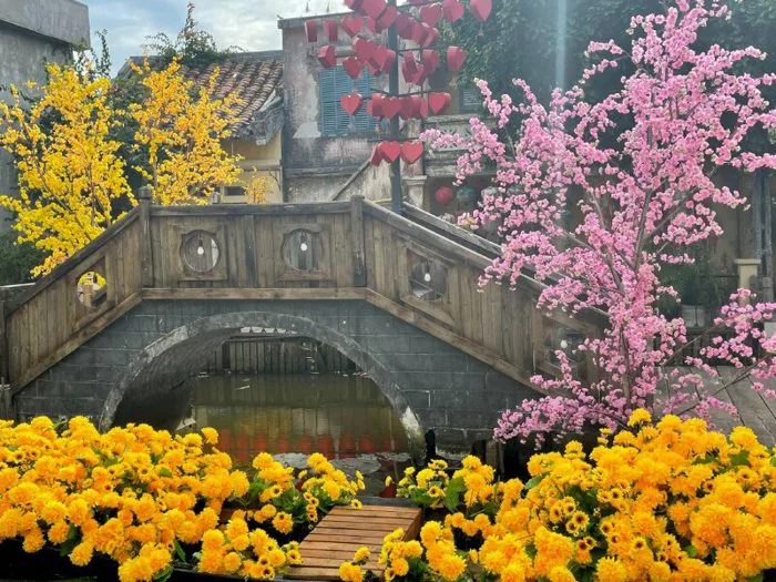 Top 101 hình nền hoa đào đẹp nhất dùng cho máy tính, điện thoại