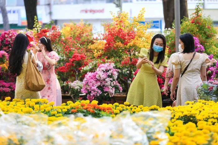 Ý nghĩa của các loài hoa Tết và bí quyết chọn đúng hoa phù hợp | Green SM
