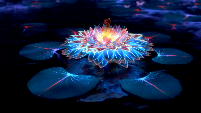 hình ảnh : Hoa sen, nghệ thuật, Fractal, nàng tiên, ánh sáng, Nước, màu  xanh da trời, Nhà máy thuỷ sản, màu tím, Bầu trời, cây bông súng, Cơ thể,  Hoa sen