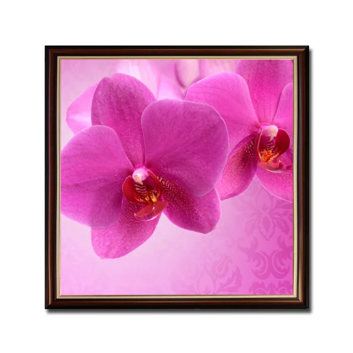 Tranh khổ vuông đẹp hoa phong lan màu tím hồng THL044