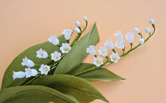 Tổng hợp bộ sưu tập hình nền hoa phong lan đẹp cực sắc nét
