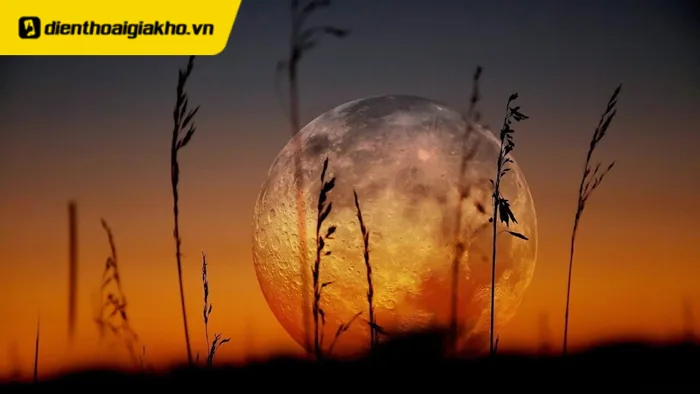 299+ Hình nền may mắn cho mệnh Thổ, bùng nổ tài lộc 2025 299+ Hình nền may mắn cho mệnh Thổ, bùng nổ tài lộc 2025