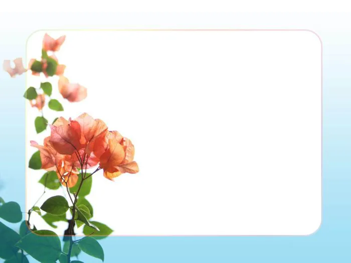 100+ hình nền Powerpoint hoa phượng độc đáo, ấn tượng