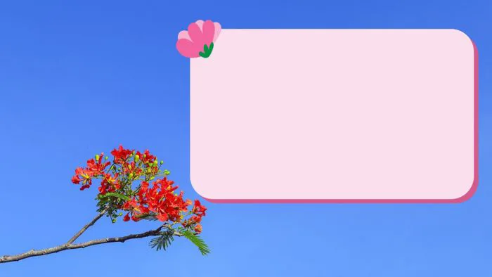 Top 40+ hình nền PowerPoint hoa phượng thơ mộng, thu hút