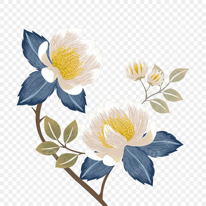 Hình ảnh Hoa Quỳnh PNG, Vector, PSD, và biểu tượng để tải về miễn phí |  pngtree