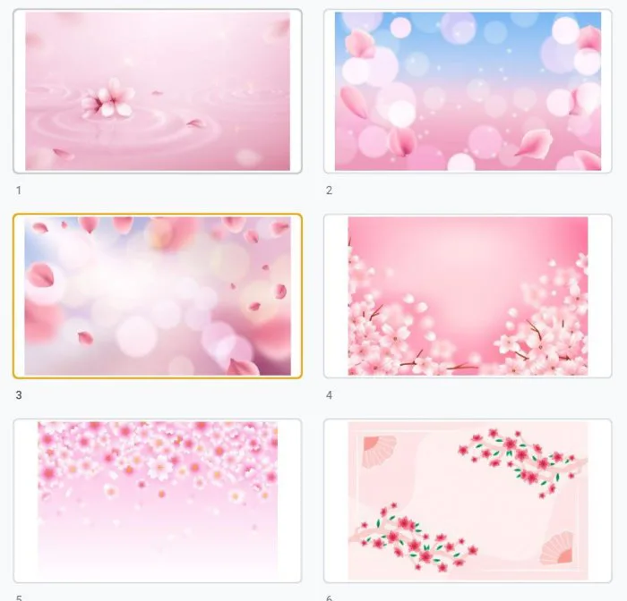 Background hoa anh đào file PSD hình ảnh chất lượng cao, kích thước lớn
