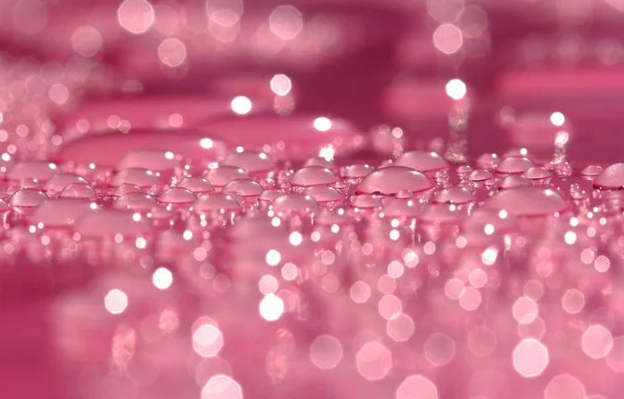 hình ảnh : rơi vãi, sương, Cánh hoa, Đỏ, Hồng, vòng tròn, Đóng lên, Độ ẩm,  Chụp macro, Hình nền máy tính, Bong bóng lỏng 5020x3216 - - 45868 - hình ảnh  đẹp - PxHere