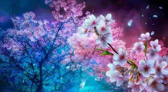 Tổng hợp 99 background hoa anh đào rơi đẹp tinh tế